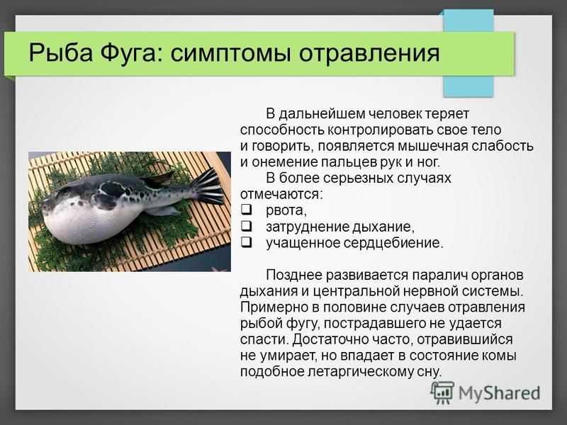 Отравление волнушками: описание распространенных видов грибов, в каких случаях они могут нанести вред здоровью Причины и признаки отравления Первая помощь и лечение
