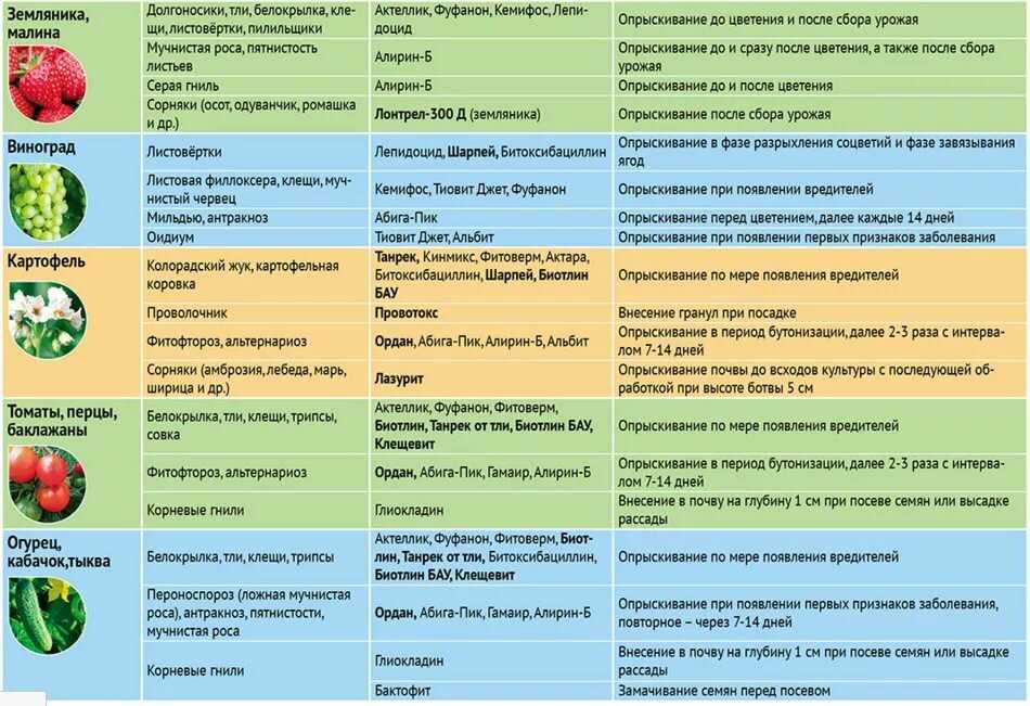 Зеленая тля на яблоне: чем обработать деревья, чтобы избавиться от нее наверняка