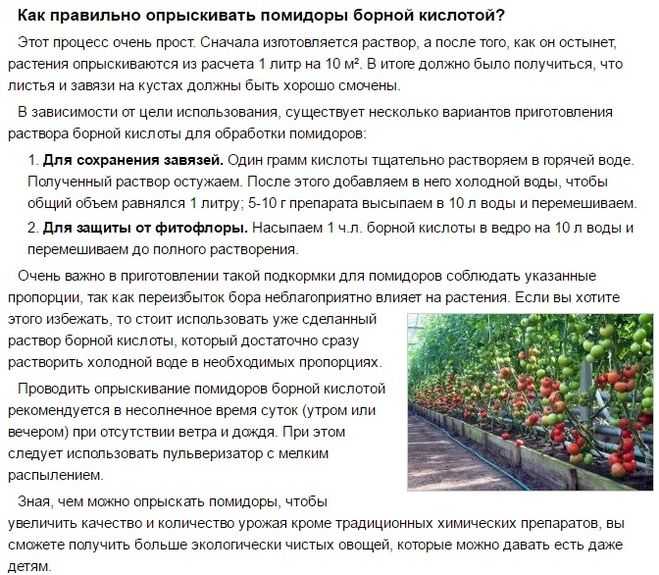 Удобрение "маг бор": состав, инструкция, применение для томатов и огурцов