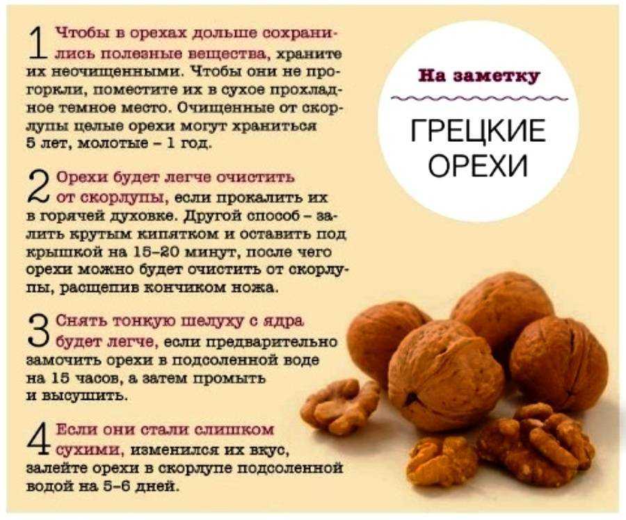 Как мыть грецкие орехи перед употреблением, очищенные и нет?