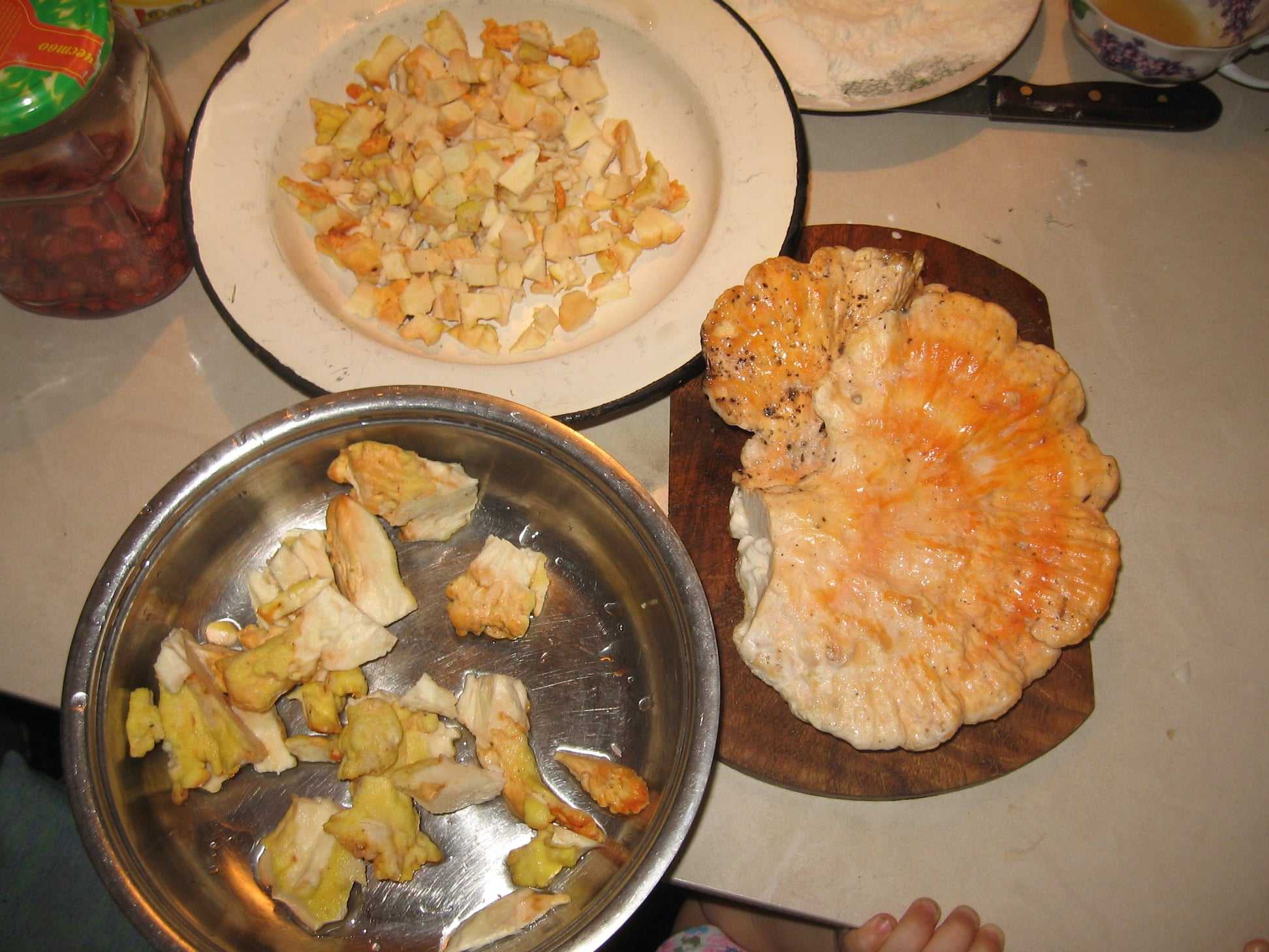 Роголистник