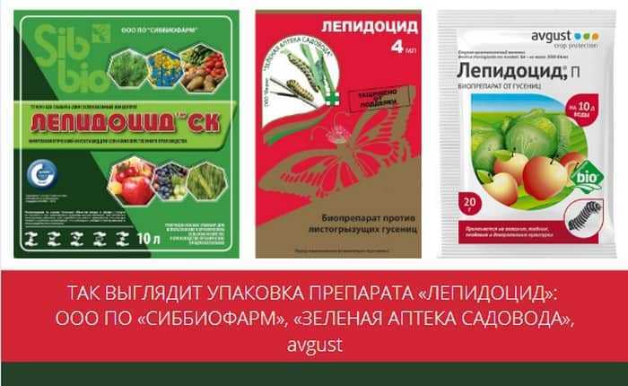 Биологический препарат лепидоцид: состав, свойства, инструкция по применению +видео