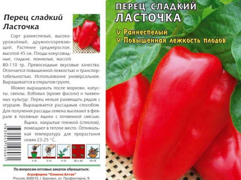 Лучшие сорта сладкого перца для открытого грунта