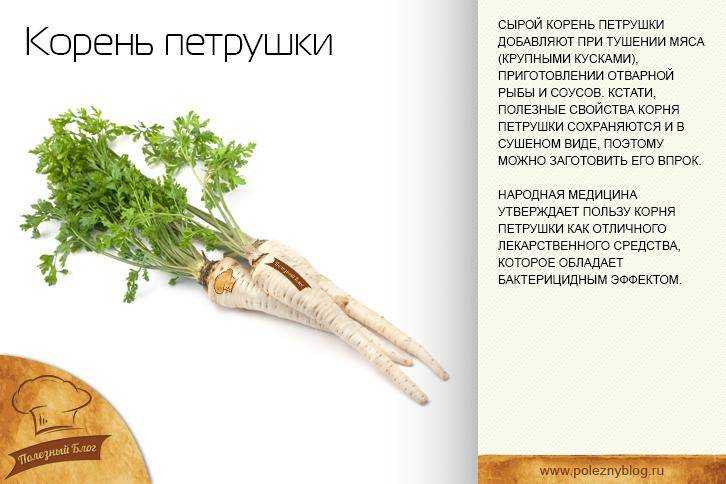Петрушка для потенции: топ 7 рецептов, состав, свойства и влияние