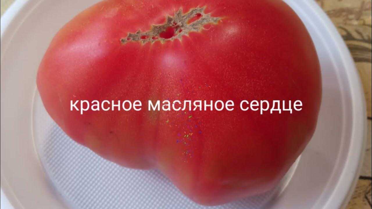 Особенности агротехники сорта «любящее сердце красное»