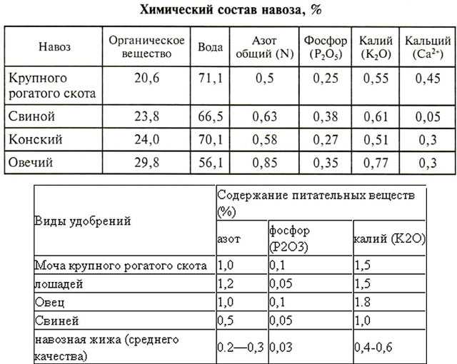 Навоз для огорода какой лучше: актуальная информация