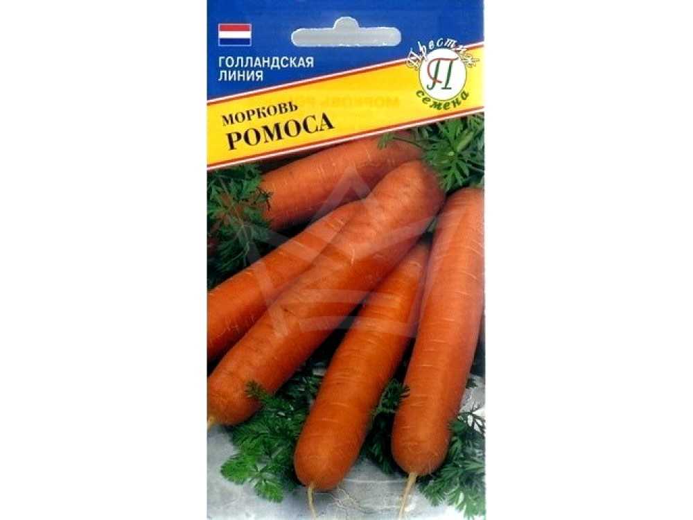 Выращивание моркови в открытом грунте самые урожайные сорта
