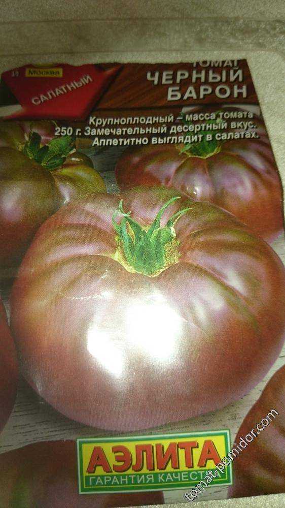 Томат черный барон: характеристика и описание сорта, отзывы об их урожайности помидоров, видео и фото куста