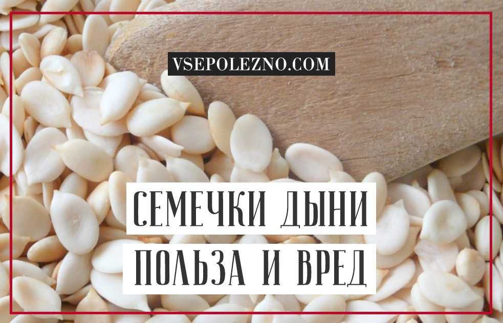 Семечки дыни полезные свойства и противопоказания
