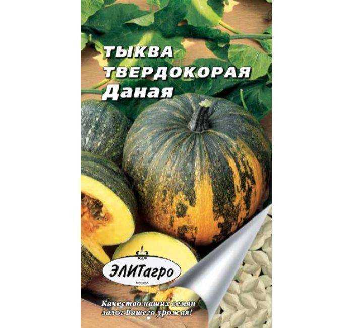 Тыква твердокорая голосемянка: описание и характеристика сорта, посадка и выращивание