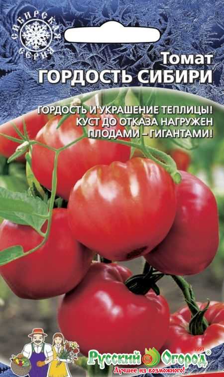 Томат гордость застолья