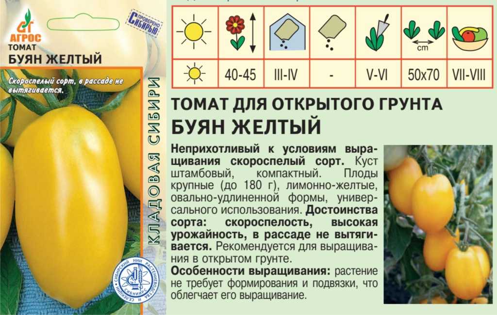 Томат боец (буян) характеристика и описание сорта, отзывы, фото, урожайность