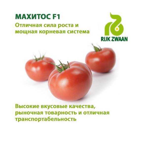 Томат махитос f1 — индетерминантный гибрид с высокими оценками специалистов