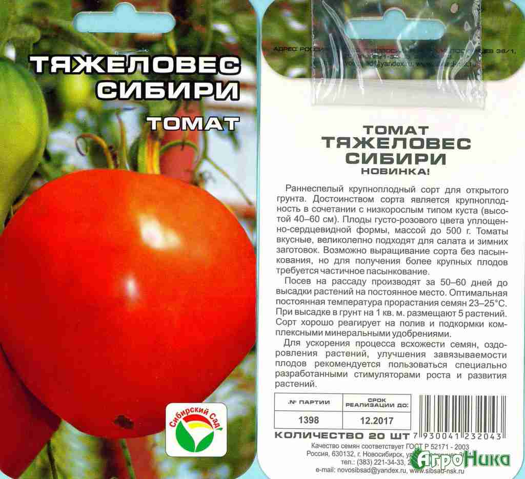 Сорт томата дикая роза: характеристика и описание, урожайность, особенности посева, выращивания и ухода, фото, видео