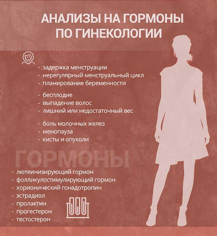 Почему желтеют листья вишни летом, что делать