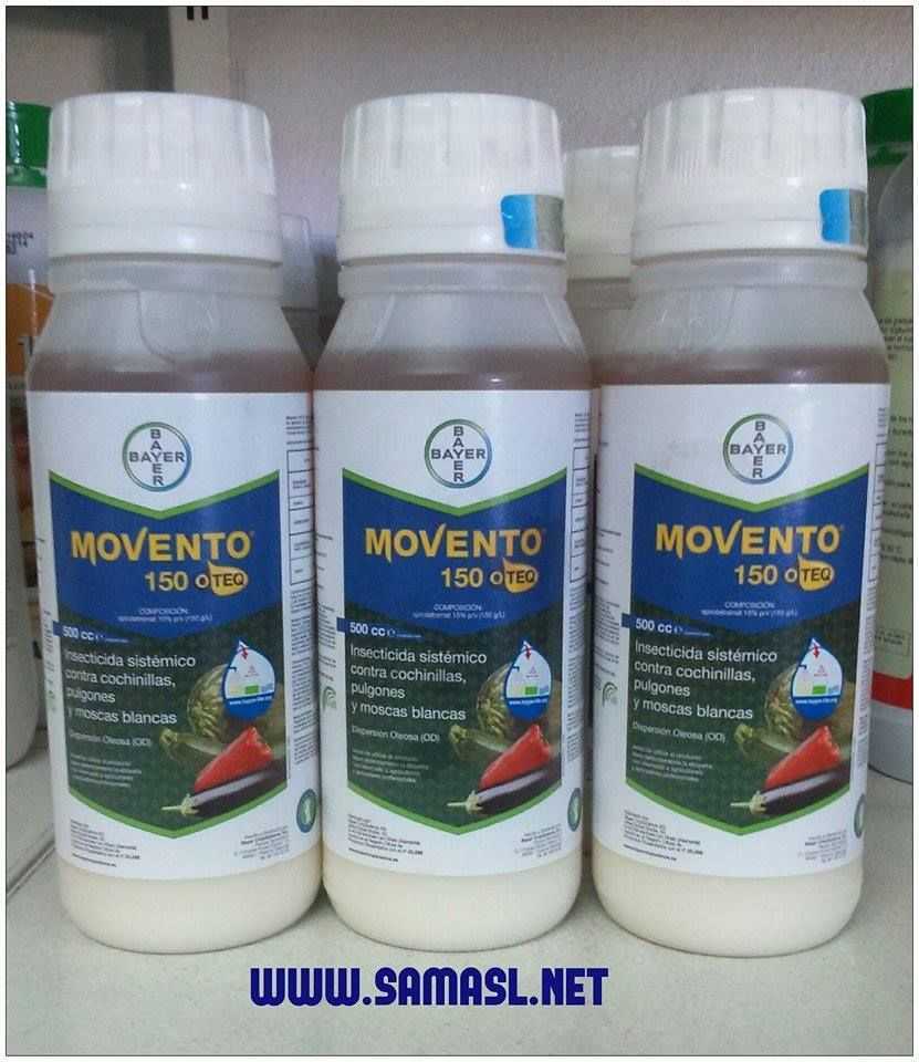 Мовенто энерджи, кс