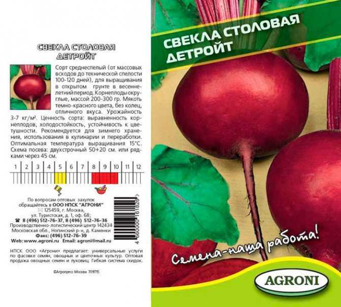 Свекла "бордо": описание сорта, фото, отзывы