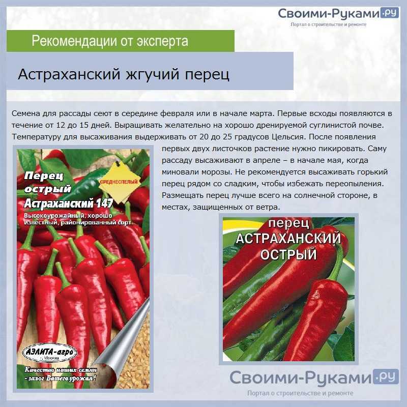 Топ-40 сортов маленького острого перца — вам остается только выбрать