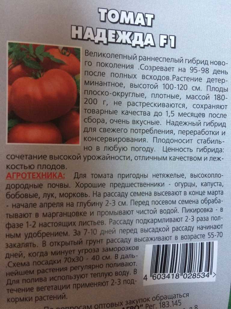 Идеальный томат надежда: отзывы, фото, урожайность, описание и характеристика, особенности выращивания