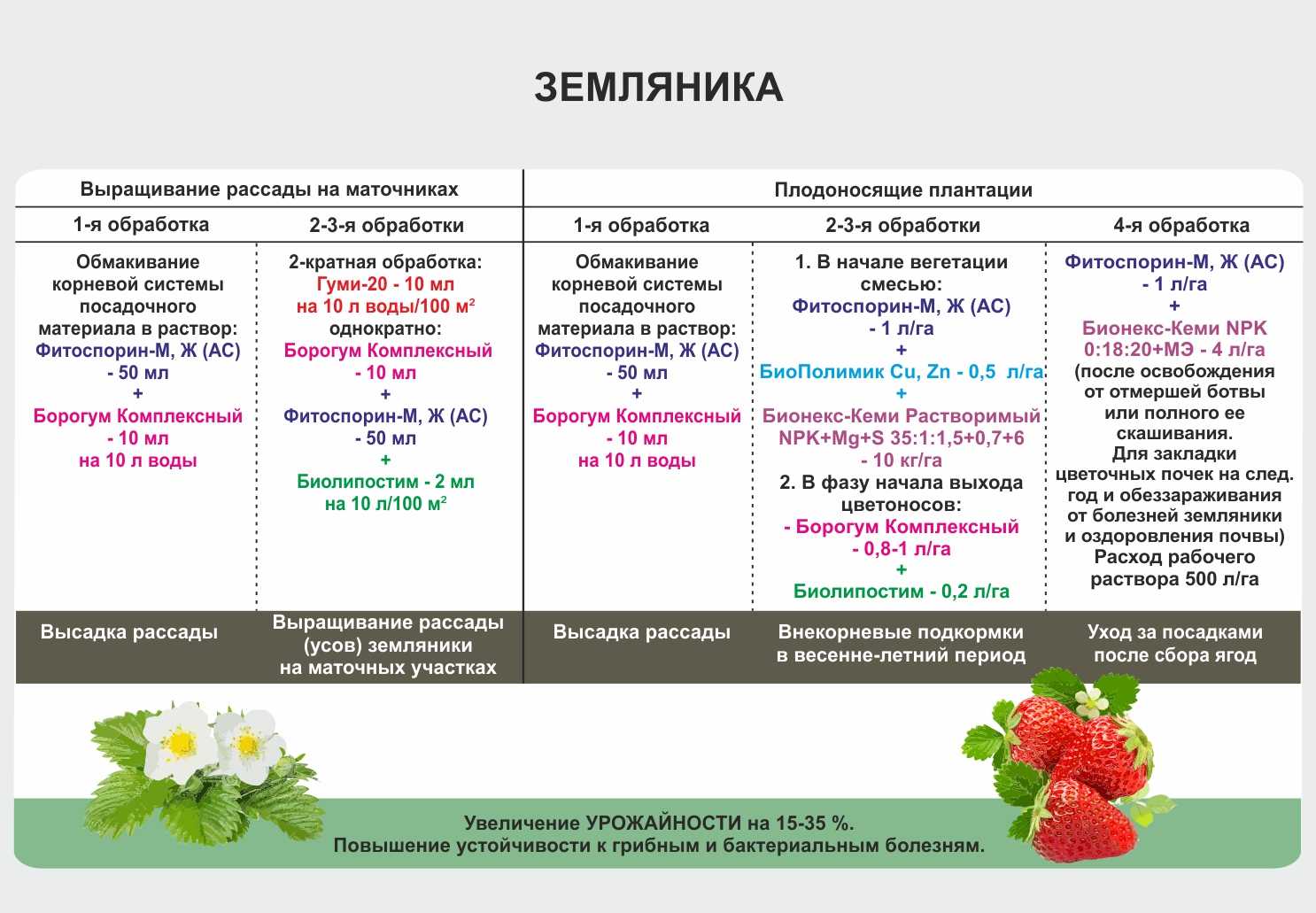 Урожайность ежевики с одного куста, с 1 га, с 1 сотки в открытом грунте. средняя урожайность по россии, урожайность разных сортов, повышение показателя в 2021 году