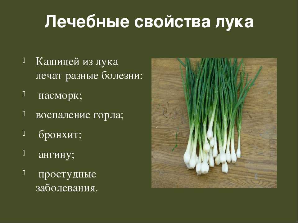 Лук красный
