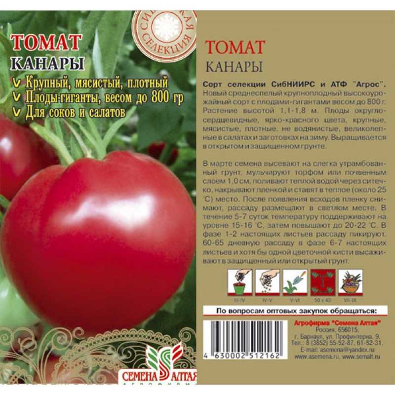Томат сибирское чудо