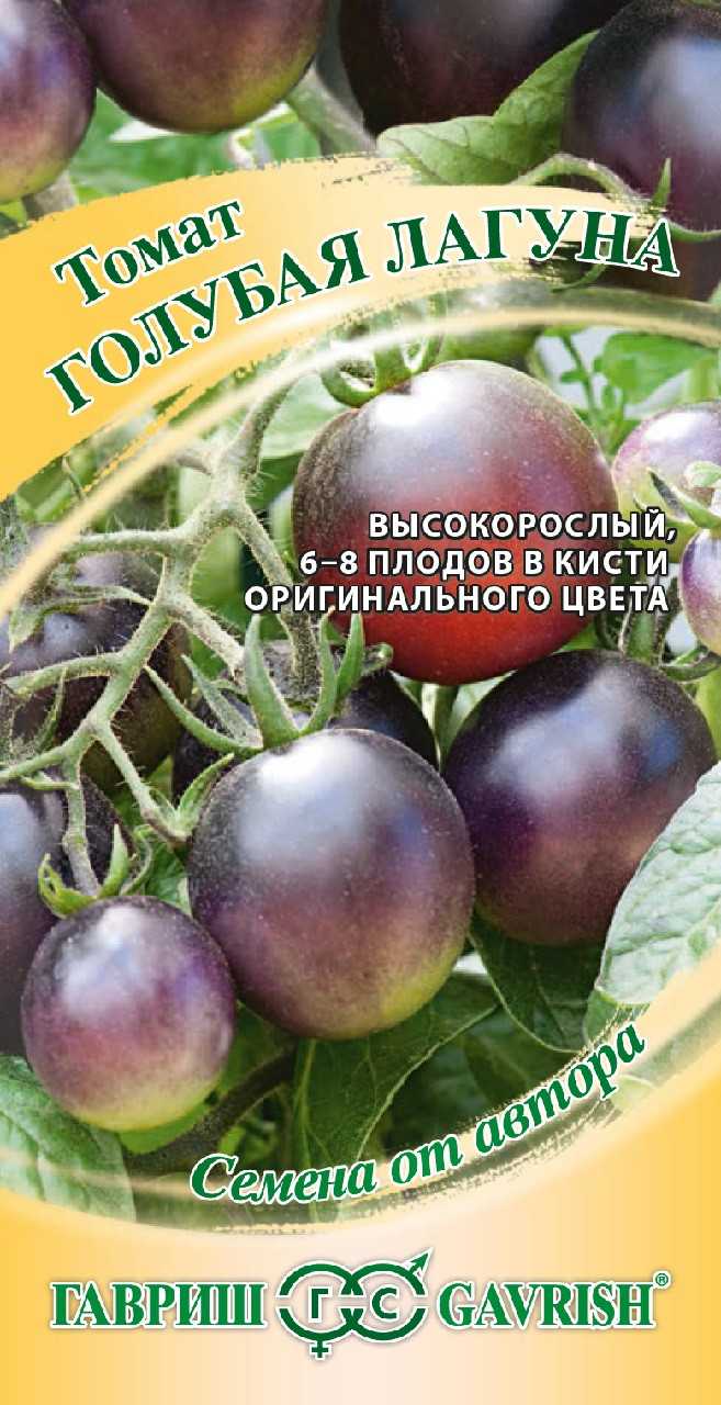 Синие помидоры, или анто-томаты — экзотические и очень полезные. общие характеристики, сорта, фото — ботаничка