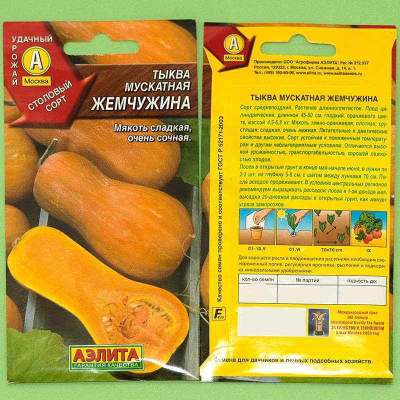 Тыква мускатная семейная. описание сорта. опыт выращивания. фото