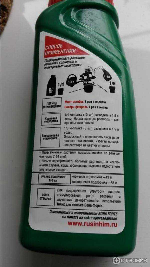 Применение кожуры цитрусовых в огороде для подкормки и против вредителей