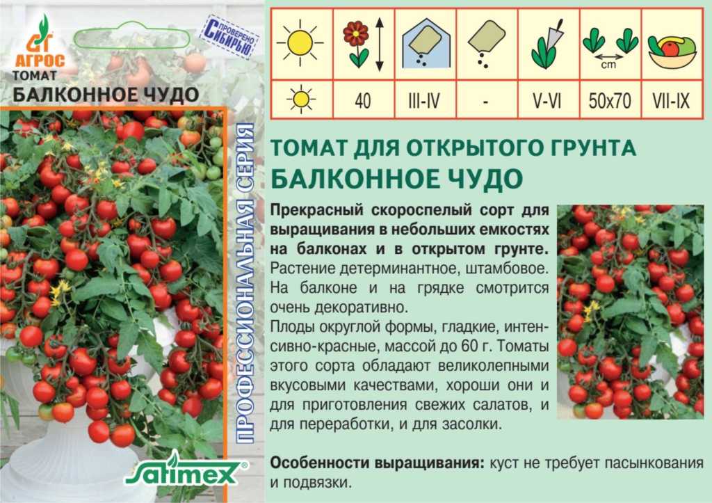 Сорт балконное чудо: лучшие помидоры для начинающих