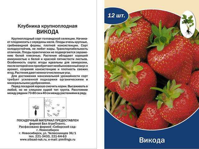 Клубника зефир: описание сорта с фотографиями и описанием, посадка, уход
клубника зефир: описание сорта с фотографиями и описанием, посадка, уход