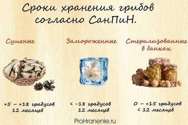 Сколько можно хранить отварные грибы - сроки, условия и способы