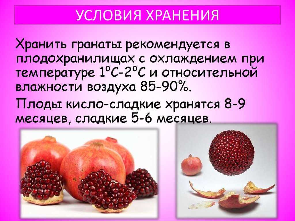 Как хранить гранаты в домашних условиях и в чем лучше