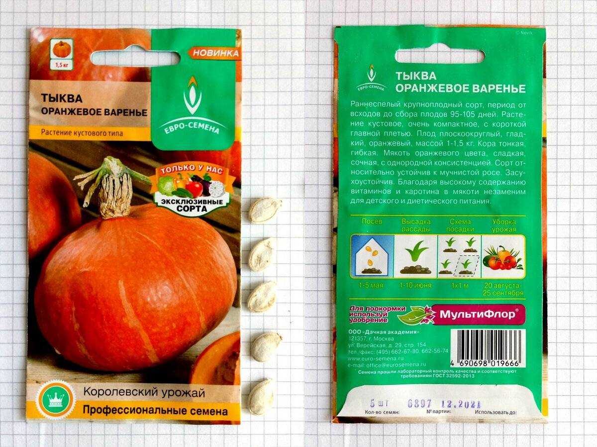 Какие выведены сорта кустовой тыквы?