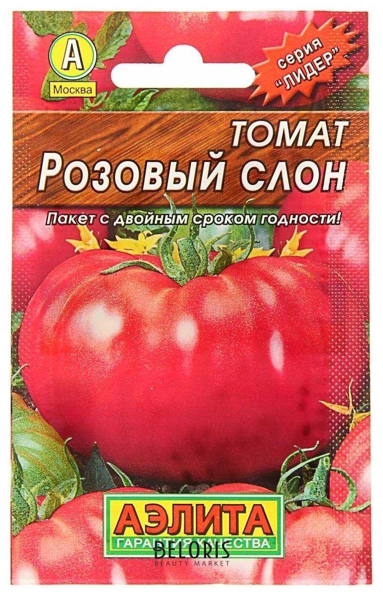Томат розовый слон: описание сорта и характеристики, урожайность, отзывы с фото