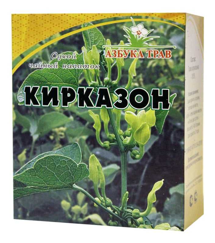 Кирказон, или аристолохия — впечатляющая мощь