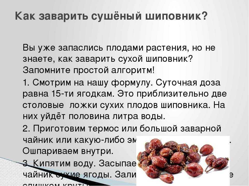 Как избавиться от дикой розы: 12 шагов
