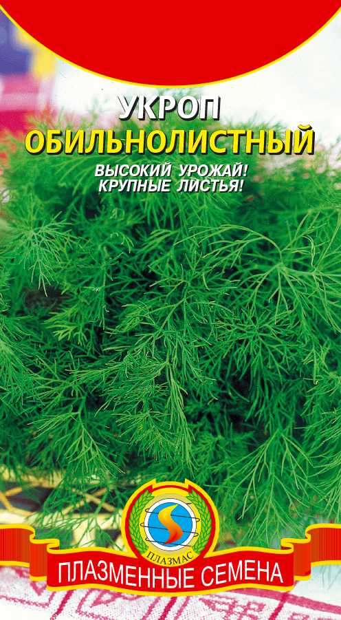 Укроп обильнолистный: описание сорта, правила выращивания, отзывы