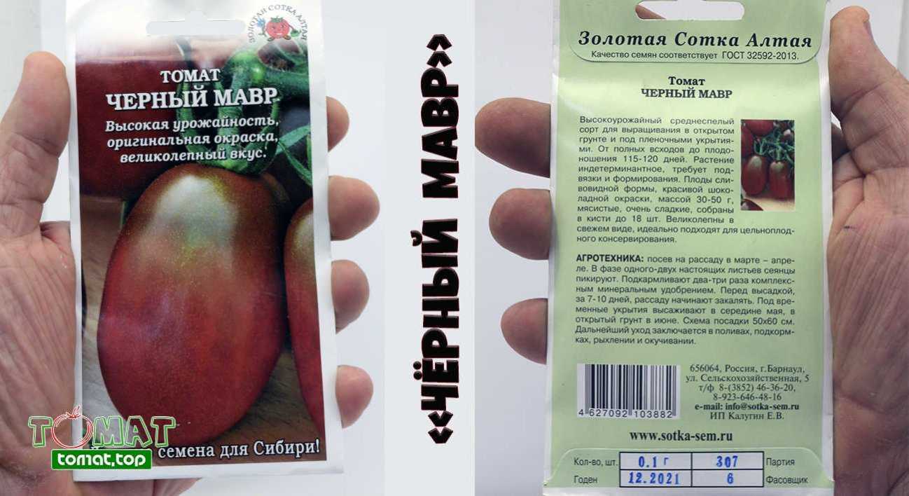 Черный мавр томат: описание, плюсы и минусы, агротехника, урожайность