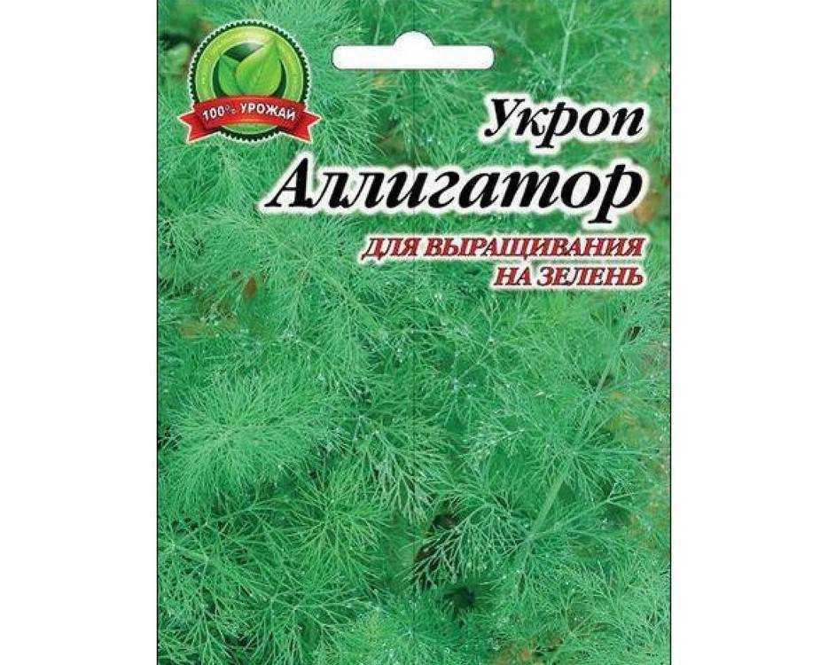 Сорта укропа: кустовой аллигатор, кибрай, грибовский – как выглядят, описание