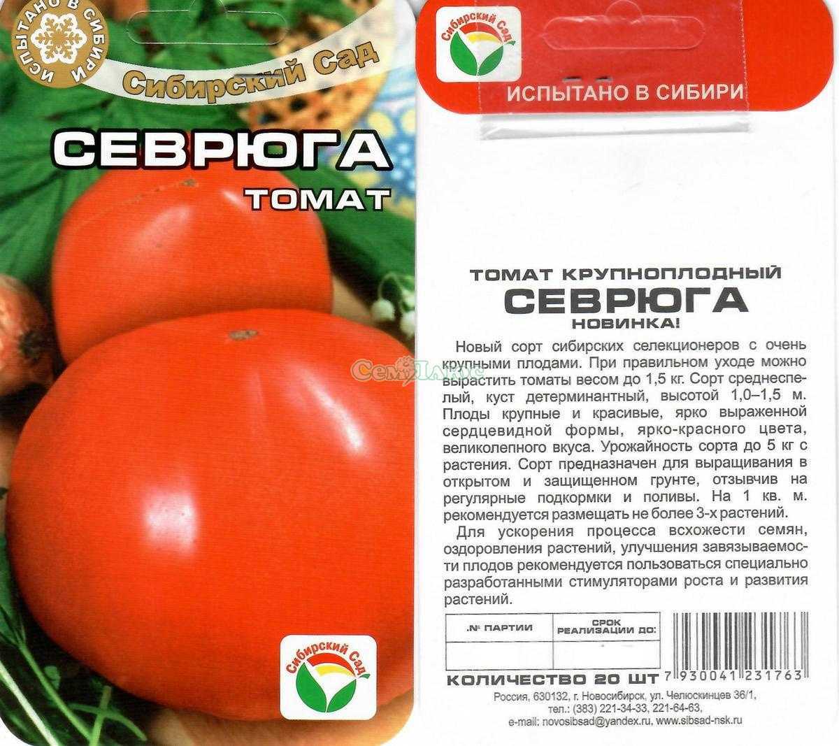 Томат пудовик (севрюга): характеристика и описание сорта. отзывы тех, кто сажал