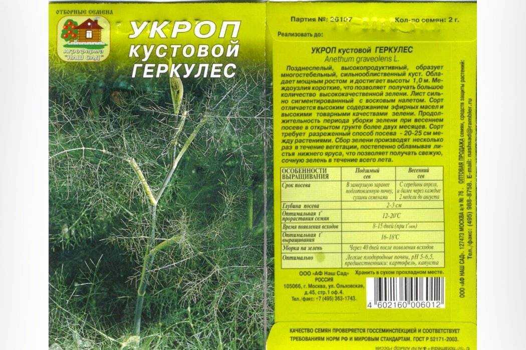 Описание сорта укропа кибрай, рекомендации по уходу и выращиванию