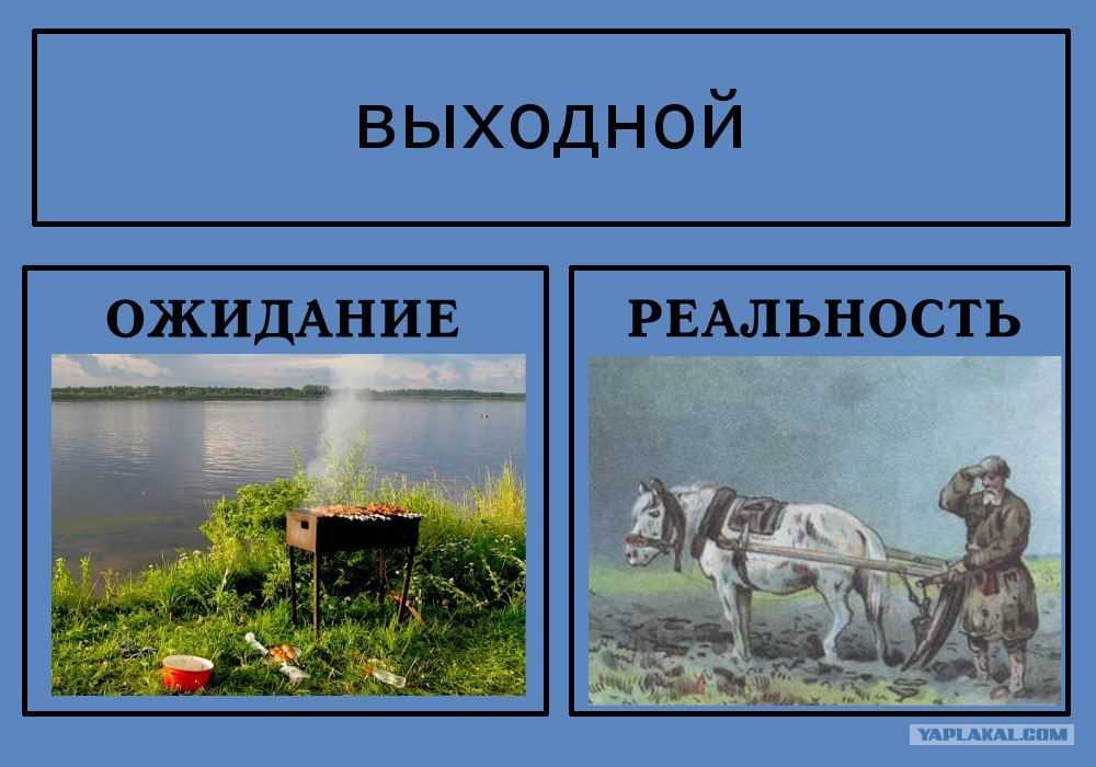 ✅ где искать трюфель в подмосковье: как найти в лесу и где он растёт, фото о поисках трюфеля - tehnoyug.com