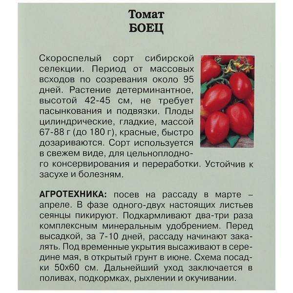 Томат эм чемпион: характеристика и описание сорта, отзывы тех, кто сажал помидоры и фото