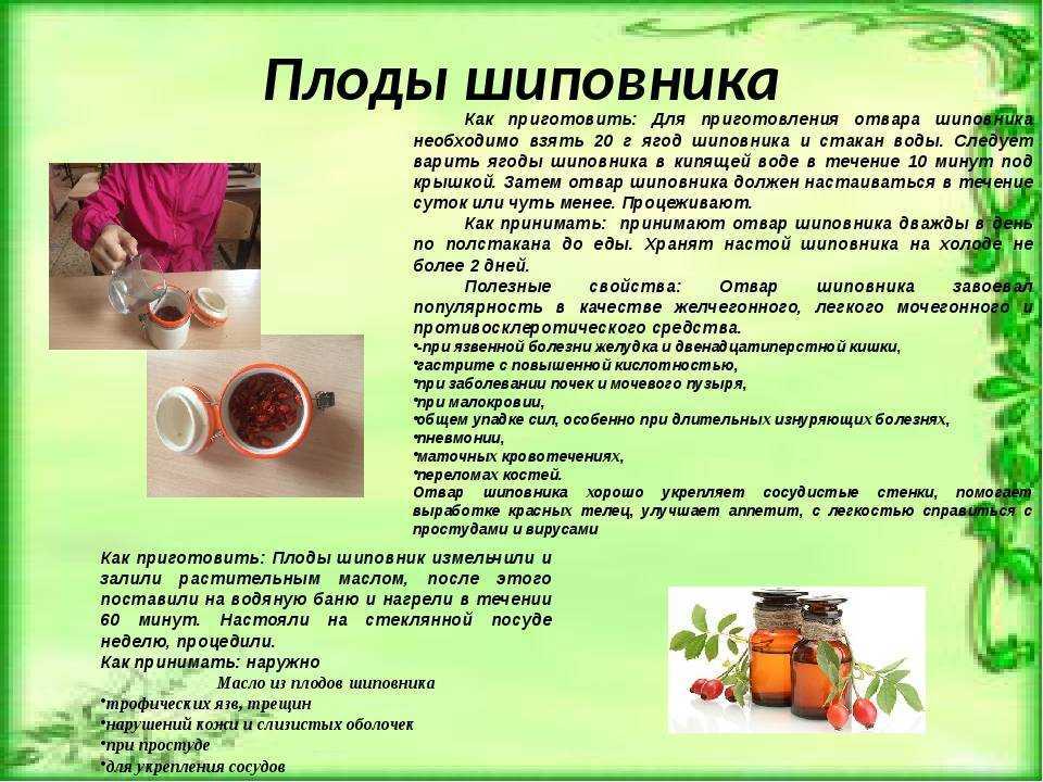 ✅ как и чем уничтожить шиповник на дачном участке навсегда, быстро и без усилий, как вывести народными средствами - tehnoyug.com