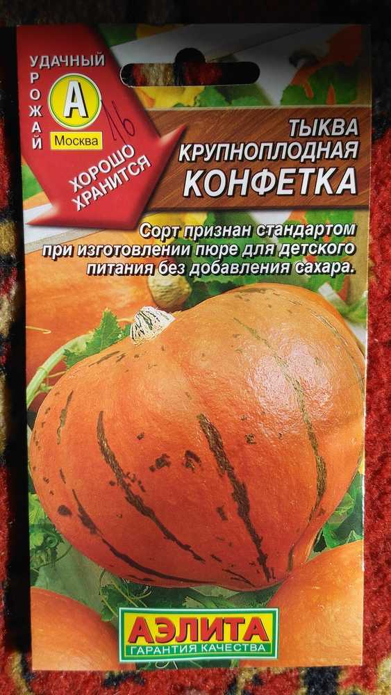 Тыква конфетка: характеристика сорта, фото, выращивание, отзывы