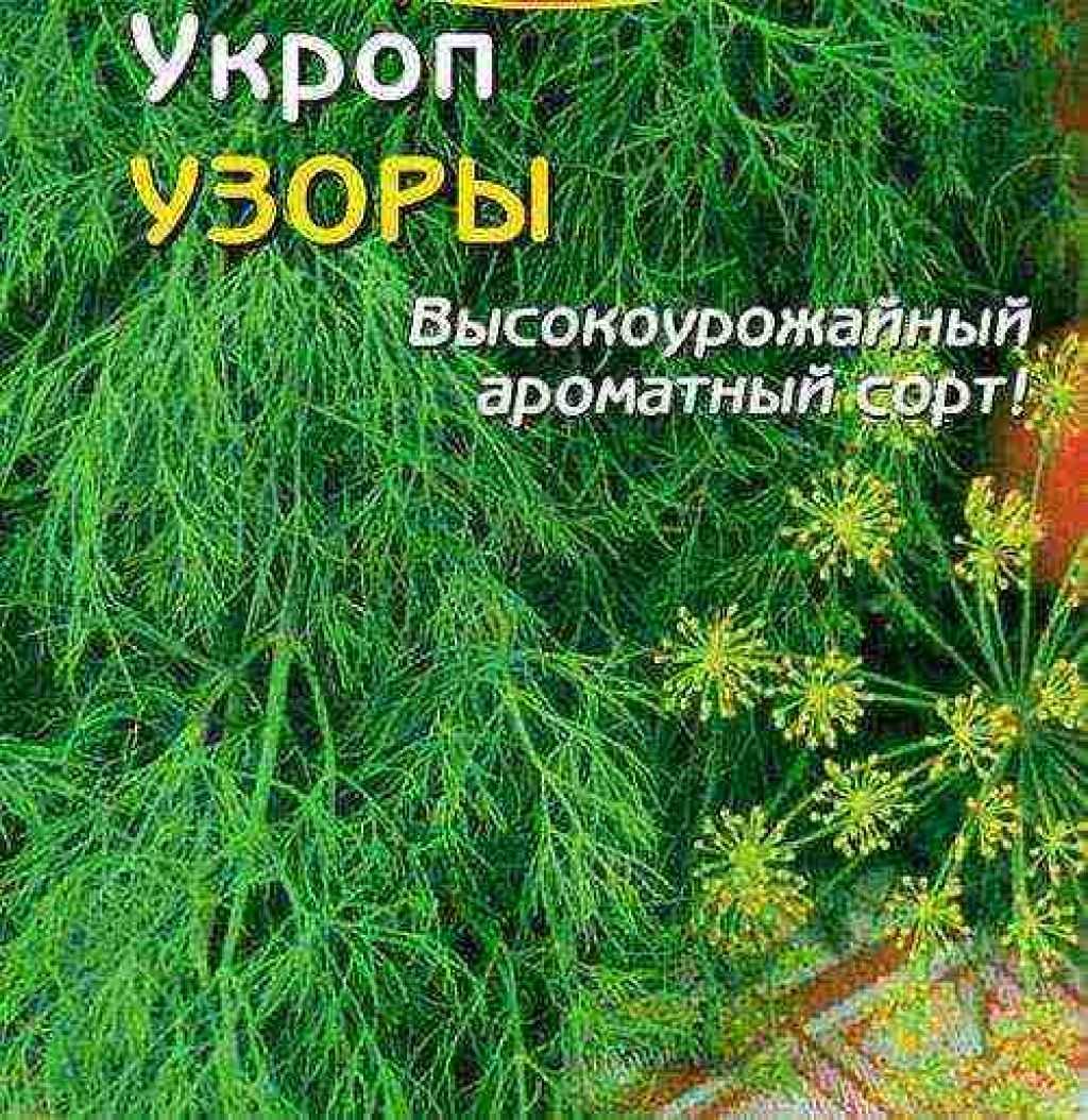 Проломник: советы по посадке и уходу в открытом грунте