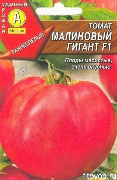Описание сорта малиновый гигант с отзывами садоводов о томате