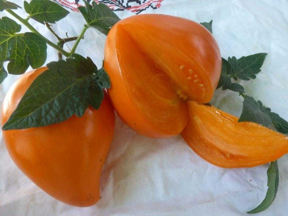 Томат Немецкая Оранжевая Клубника Отзывы Фото