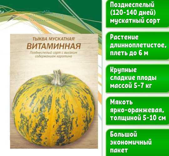 20 лучших сортов тыквы: мускатные, крупноплодные и твердокорые